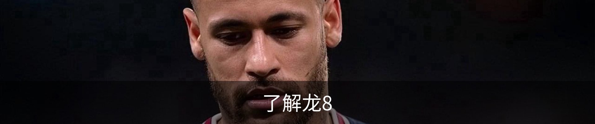 了解龙8