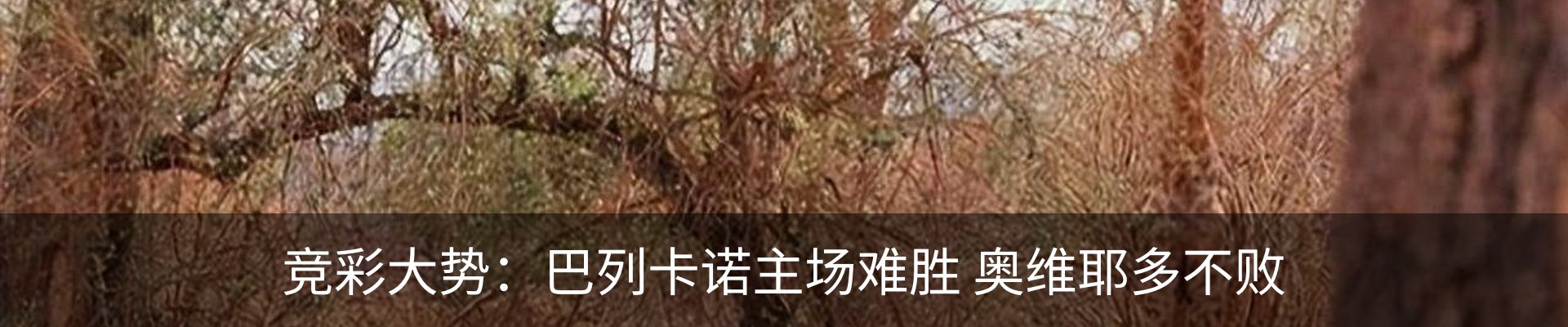 最新动态